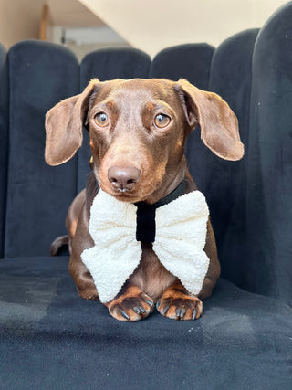 Bouclé Adjustable Harness & Bow