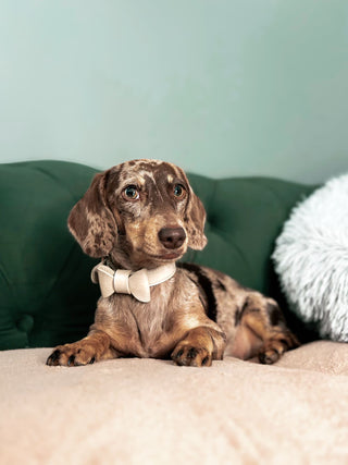 Fawn Collar - Darla & Co