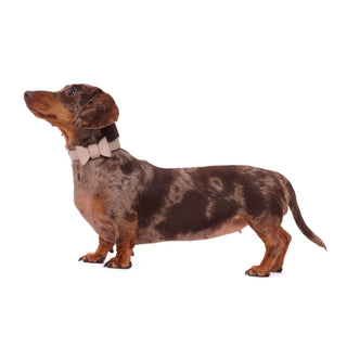 Dusty Rose Collar - Darla & Co