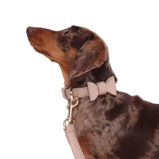 Dusty Rose Collar - Darla & Co