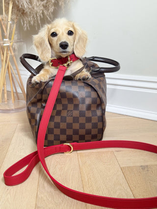 Just Red Collar - Darla & Co