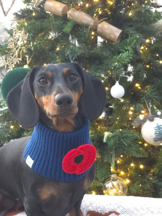 Poppy Snood - Darla & Co