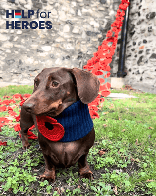 Poppy Snood - Darla & Co