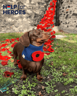 Poppy Snood - Darla & Co