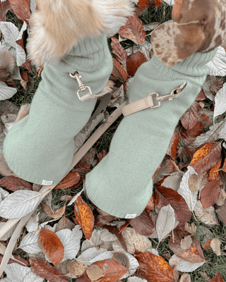 Sage Sweater - Darla & Co