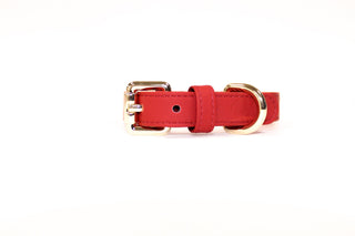 Just Red Collar - Darla & Co