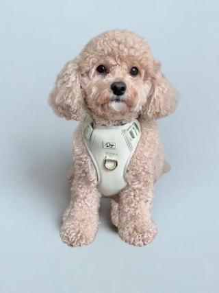 Complete Comfort Harness Pistachio - Darla & Co