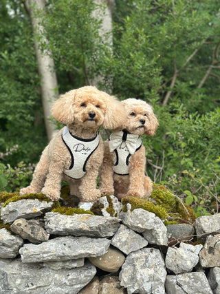 Bouclé Adjustable Harness & Bow - Darla & Co