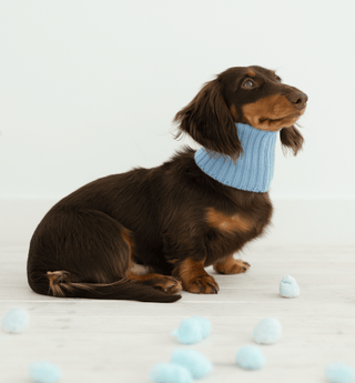Merino wool Snood - Darla & Co