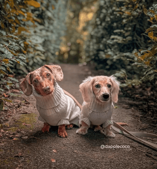 Strawberries & Cream Sweater - Darla & Co