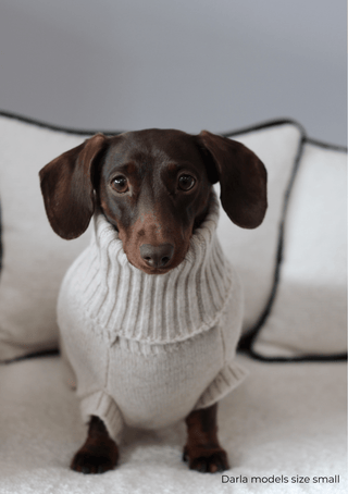Strawberries & Cream Sweater - Darla & Co