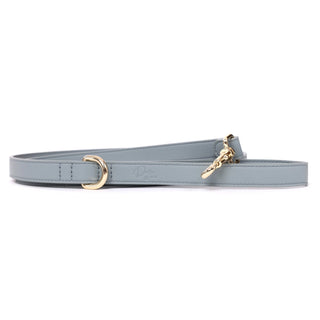 Bachelor Blue Lead