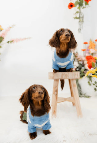 Cloud 9 Sweater - Darla & Co
