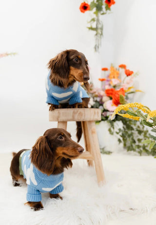 Cloud 9 Sweater - Darla & Co