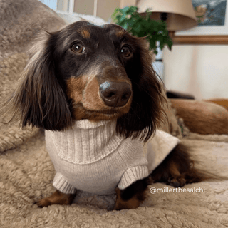 Strawberries & Cream Sweater - Darla & Co